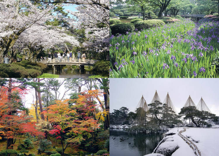 春季繁櫻、夏季綠木、秋季紅葉、冬季雪景與雪吊等等…光兼六園就能夠好好見識金澤的四季美景。