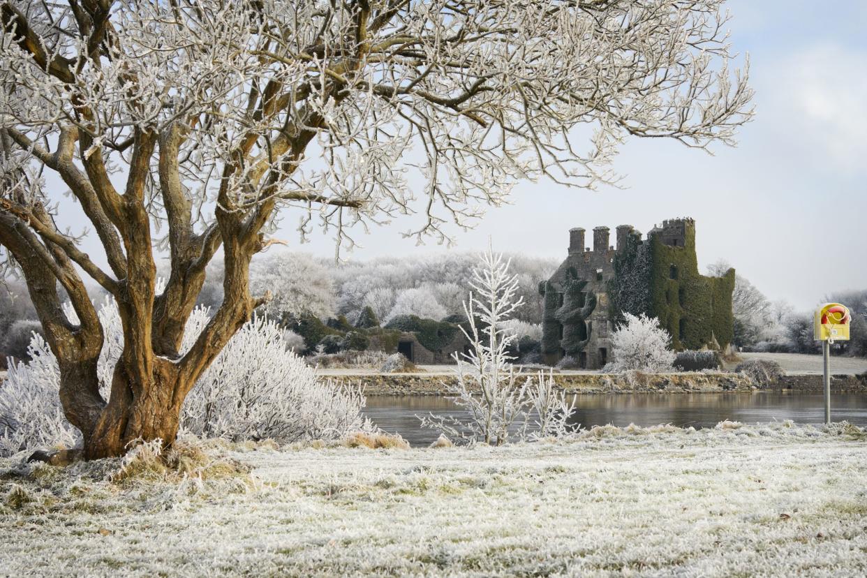 Trees and castle ruins covered by frost along the bank of the Corrib River, Ireland during winter, mystical looking