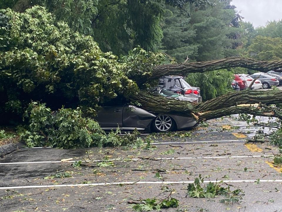 A vehicle is crushed by a fallen tree at North Hills Condominiums in North Providence after Friday's tornado passed through.