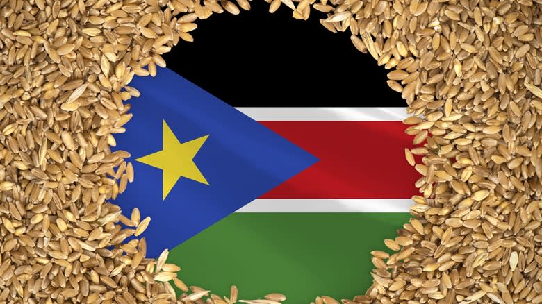 South Sudan flag in grain