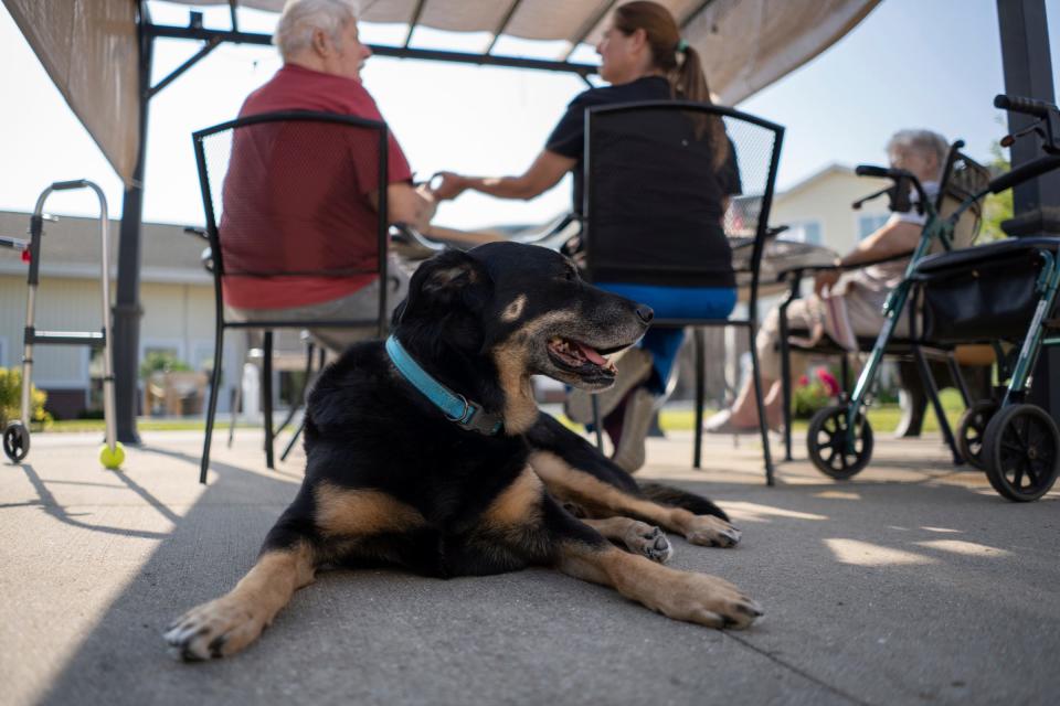 Scouts lays in the shade and remains on the lookout as Meadow Brook Medical Care Facility resident Bob Shumaker talks with household coordinator Jenny Martinek during an outdoor pizza party for another resident on Thursday, July 13, 2023. “He’s always watching, making sure everybody’s OK,” Martinek said.