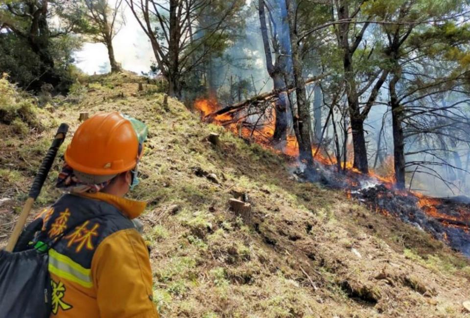 前ＮＣＣ專委喬建中等人釀玉山森林大火，南投地院昨日判喬等人六月至二月不等徒刑，未來也將面臨二億八千多萬元民事求償官司。（記者陳金龍翻攝）