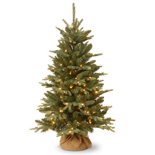 National Tree Company Pre-lit Artificial Mini Christmas Tree