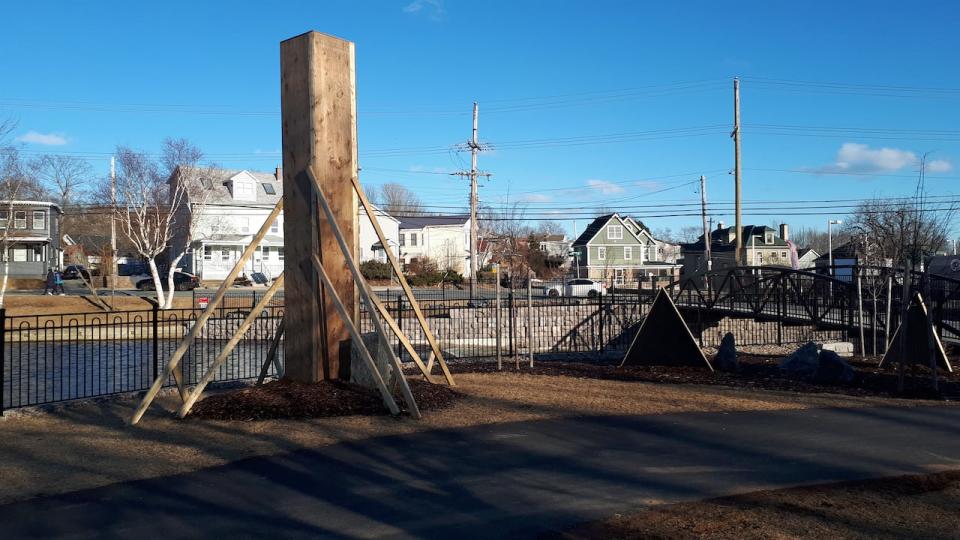 Over the winter, the windmill palm trees at Sullivan's Pond and Shubie Park were sheltered from the weather in a box.