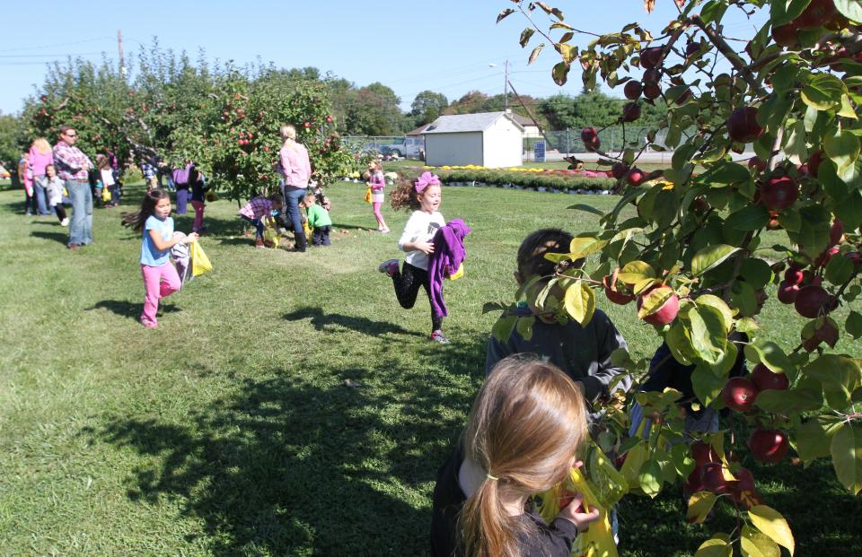 Pippin Orchard in Cranston takes a mix-and-match approach to its unmarked orchard.