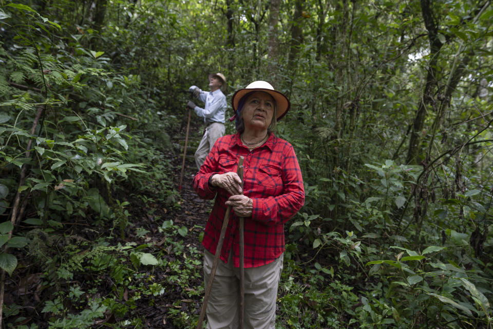 Floripe Cordoba, front, and Siegfried Kussmaul pause during their morning walk through their protected forest on the outskirts of San Jose, Costa Rica, Wednesday, Aug. 24, 2022. “When I conserve I let all of the insects, down to the smallest, the fauna and everything there is in the forest, have its place,” said Córdoba, a former tourism guide, who strolls in the forest daily. (AP Photo/Moises Castillo)