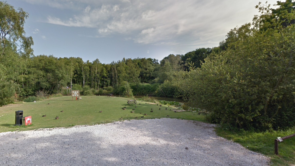 A wooded area and a grassy area in front of the lake 