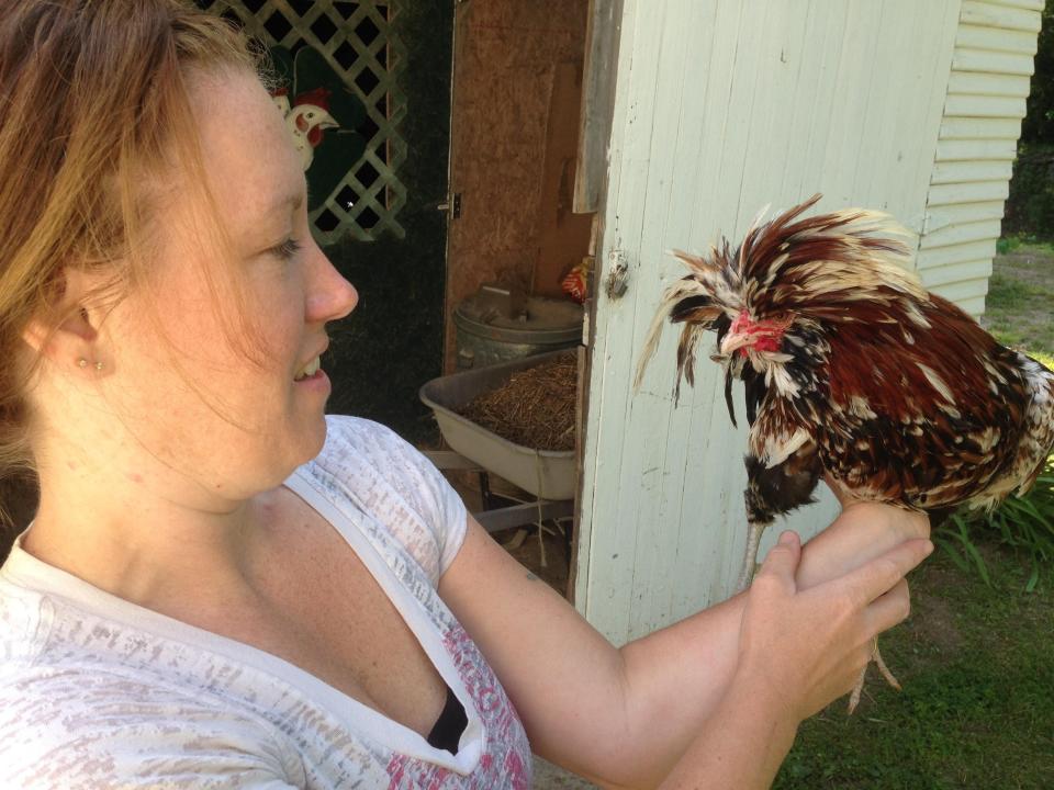 Tabitha Rivera of Albion holds a Polish rooster. Rivera’s daughters have been members of 4-H since they were 5 years old.