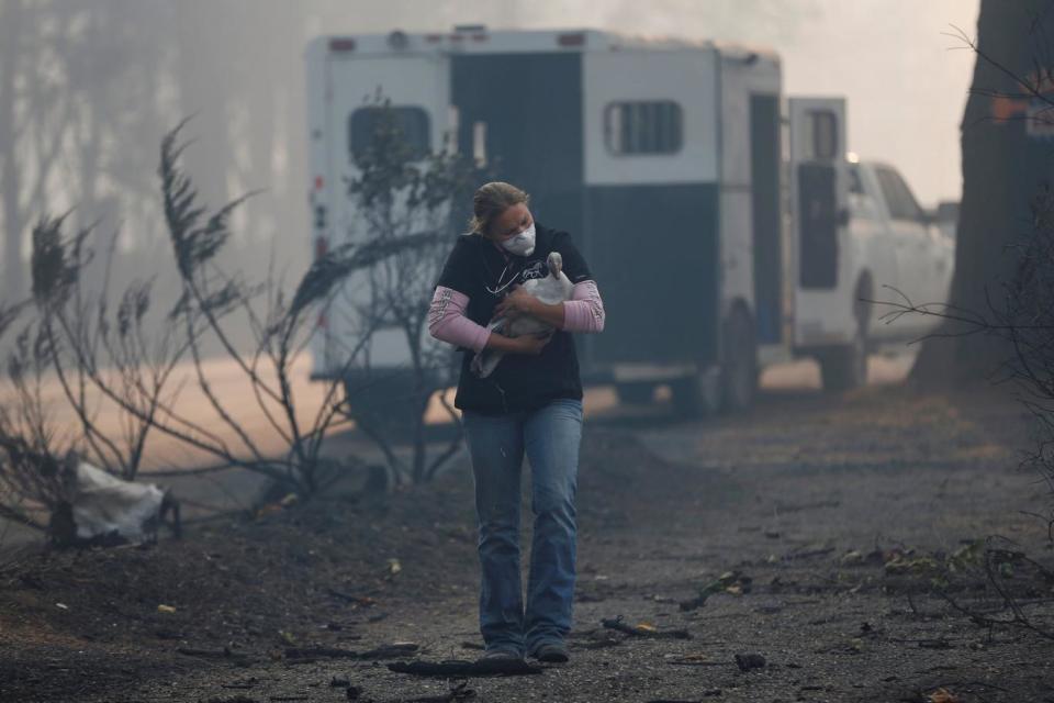 Equine veterinarian Jesse Jellison carries an injured goose in California (REUTERS)