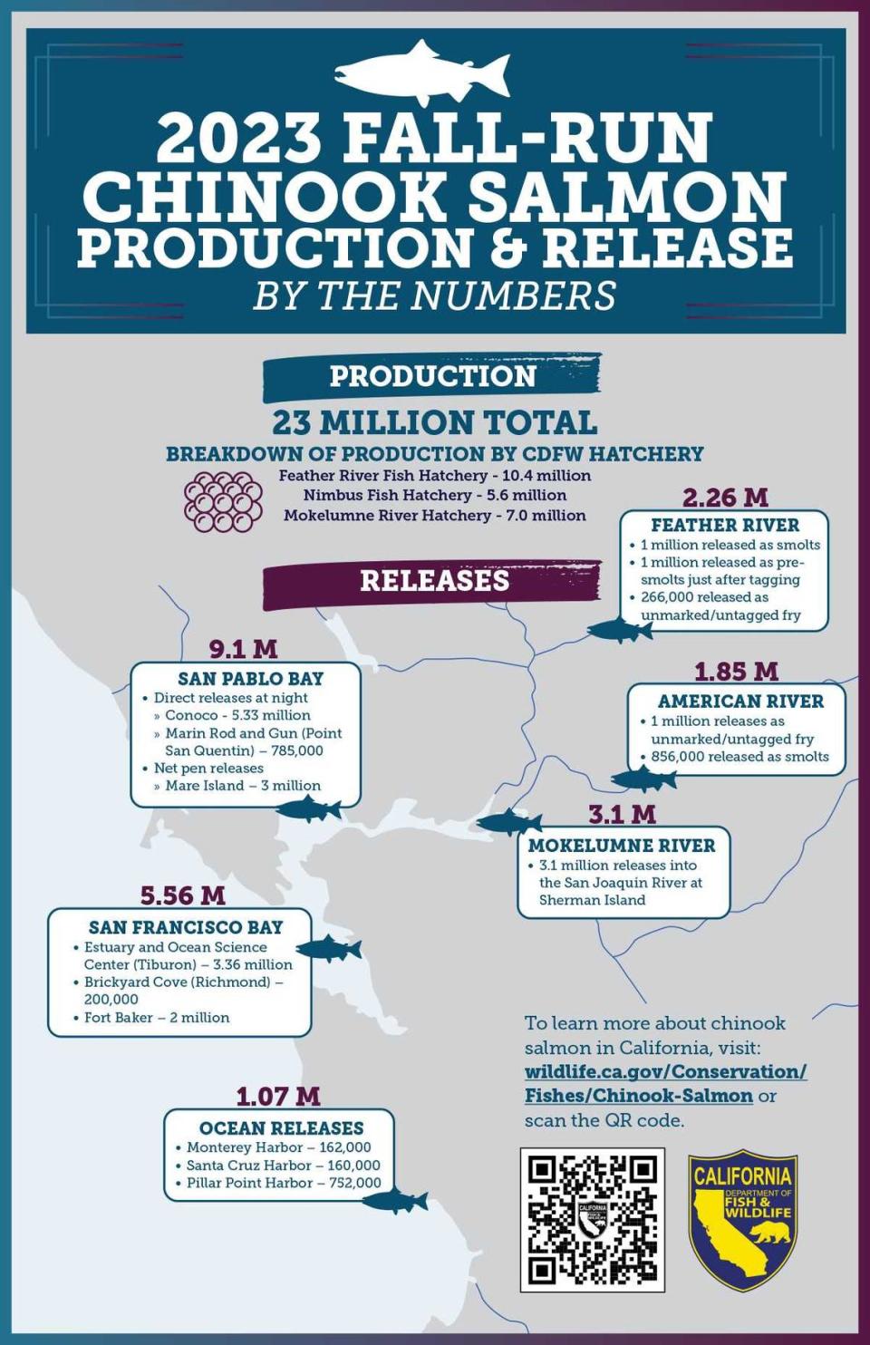 An inforgraphic outlining 2023 releases of fall-run chinook in Central California.