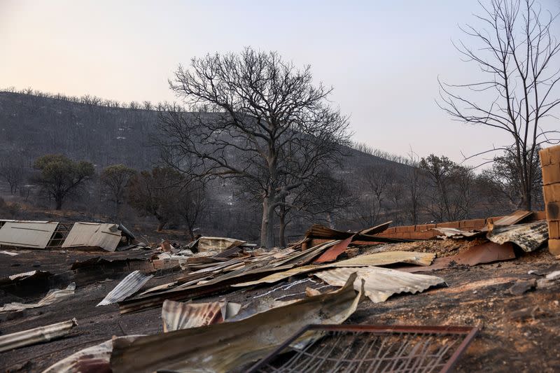 19 personas, al parecer inmigrantes, muertas tras un incendio forestal en la región de Evros