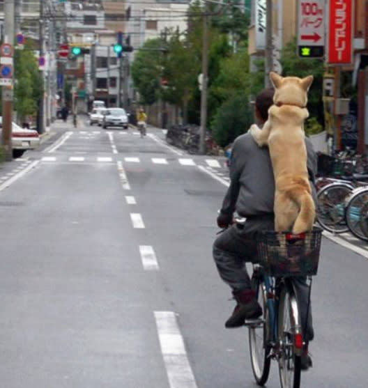 <p>Augen auf im Straßenverkehr! Wer ein guter Beifahrer ist, hat alles mit im Blick. Vier Augen sehen schließlich mehr als zwei! (Bild: Pinterest) </p>