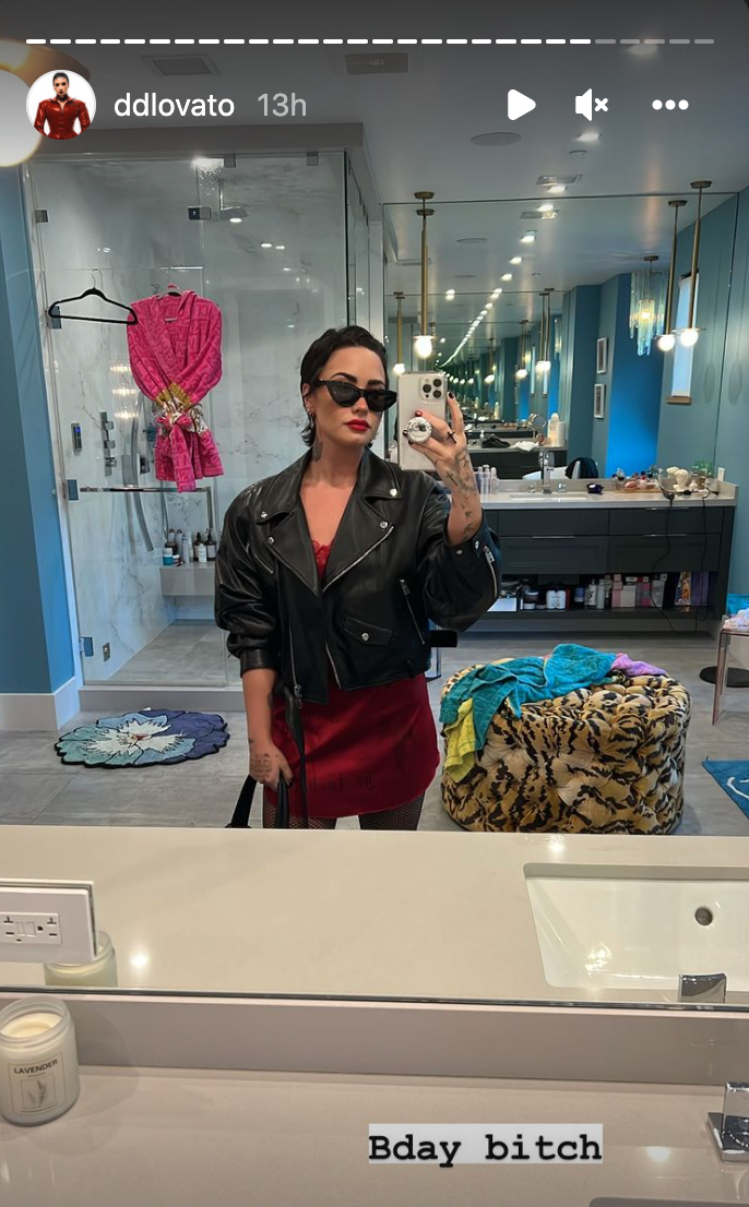 Demi Lovato maakt een selfie voor haar verjaardag.  (Instagram / Demi Lovato)