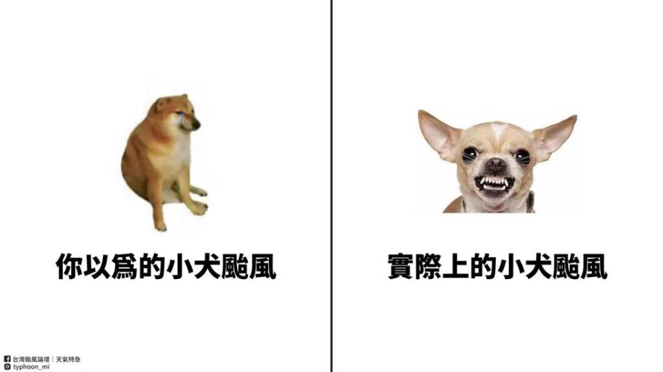 台灣颱風論壇警告小犬颱風很兇。(翻攝自台灣颱風論壇)