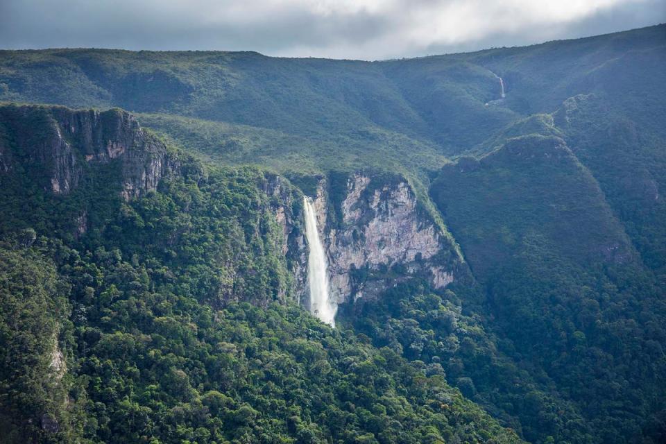 Mount Aracá, Brazil (Alex Robinson)