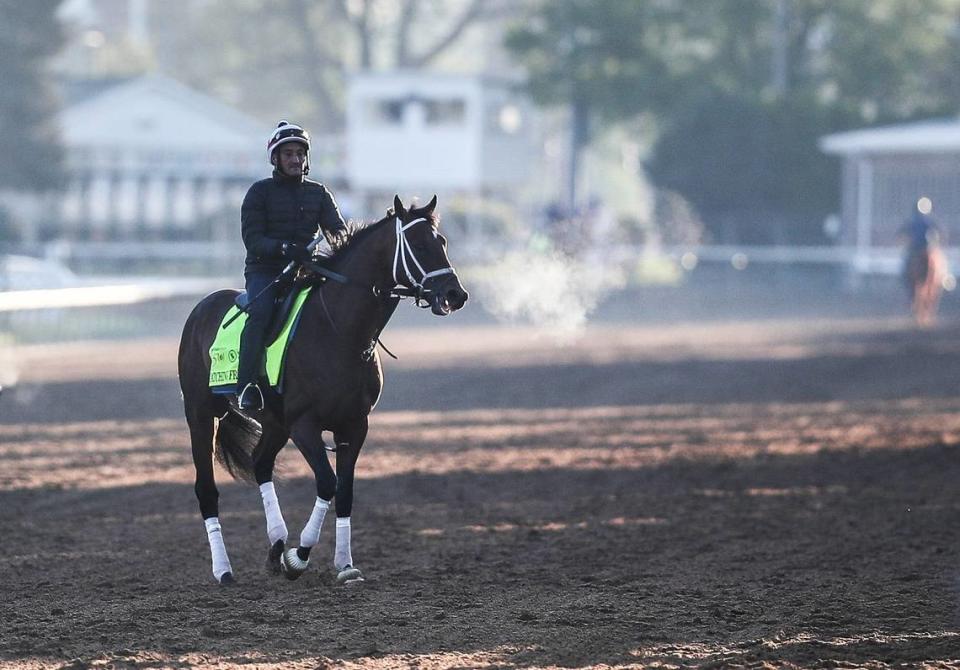 Kentucky Derby contender Catching Freedom walks off the track on a brisk morning on April 20 at Churchill Downs. Matt Stone/USA TODAY NETWORK
