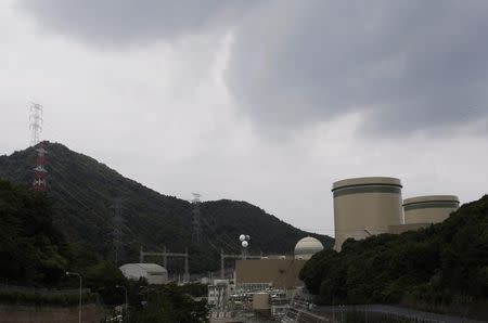 Kansai Electric Power Co.'s Takahama nuclear power plant is seen Ohi town, Fukui prefecture, July 3, 2011. REUTERS/Issei Kato