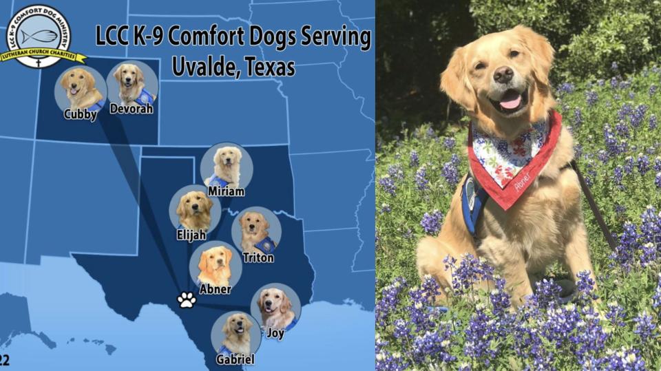 LCC K-9 Comfort Dogs serving Uvalde