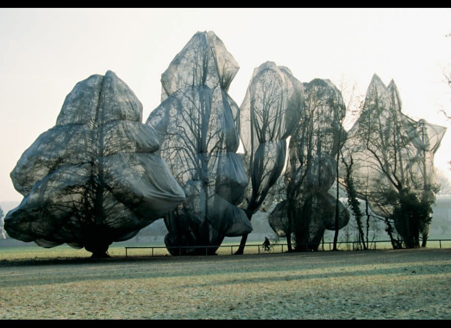 Wolfgang Volz  Caption: Christo and Jeanne-Claude  "Wrapped Trees, Fondation Beyeler and Berower Park, Riehen, Switzerland, 1997-98"  178 trees, 53,283 m² (592,034 sq.ft.) of woven polyester fabric, 23 km (14.3 mi.) of rope