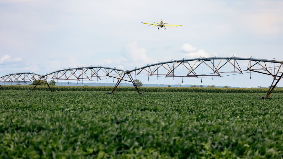 A crop duster applies nutrients on a field of soybeans in Modale, Iowa, as part of a Truterra initiative. - Courtesy Land O’Lakes, Inc.