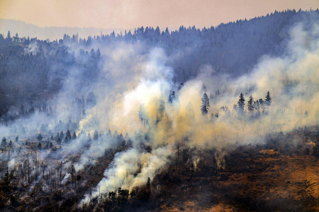 Image: The Park Fire  (Nic Coury / AP)