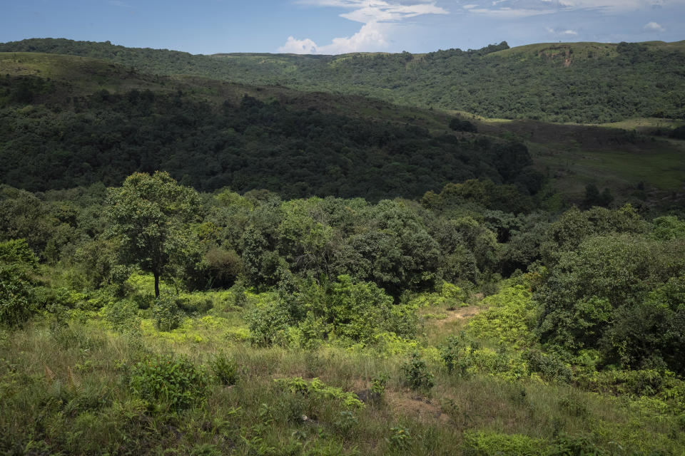 Clouds cast shadows on a sprawling sacred forest in West Jaintia Hills, a sparsely populated mountainous region of Meghalaya, a state in northeastern India, Wednesday, Sept. 6, 2023. (AP Photo/Anupam Nath)