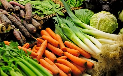 Carrots, celery and beans are just some of the 'free vegetables' included on the Cabbage Soup Diet plan.  - Credit: Steve Cavalier/Alamy