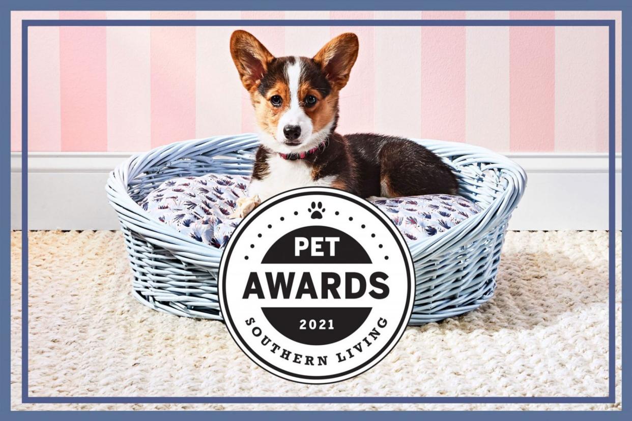 Southern Living Pet Awards