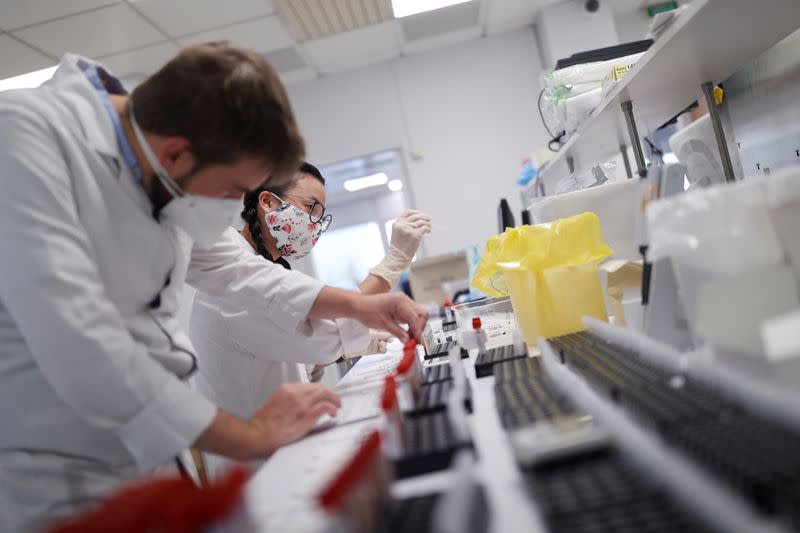 Laboratory staff work on blood samples for coronavirus disease tests in Colmar