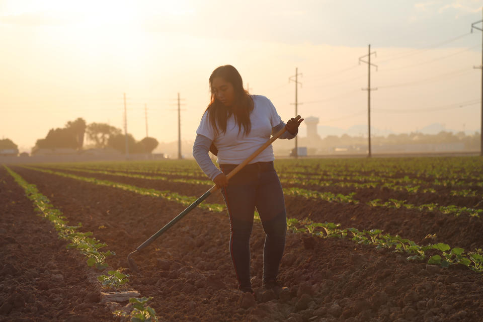 On a mid-September morning, Jimena Aguilar, 17,  weeds a field to prepare for incoming crops on an Arizona farm. (Christine Romo / NBC News)