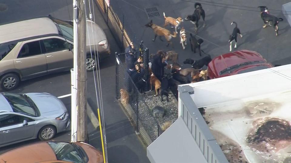 Chopper 7 was over The Dog Resort in Seattle's Lake City neighborhood, where a fire broke out.