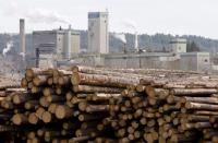 <p>No. 3: Quesnel, B.C.<br>Proportion of work with the potential to be automated: 50 per cent<br>Population: 18,160<br>FILE — Logs are piled up at West Fraser Timber in Quesnel, B.C., Tuesday, April 21, 2009. (THE CANADIAN PRESS/Jonathan Hayward) </p>