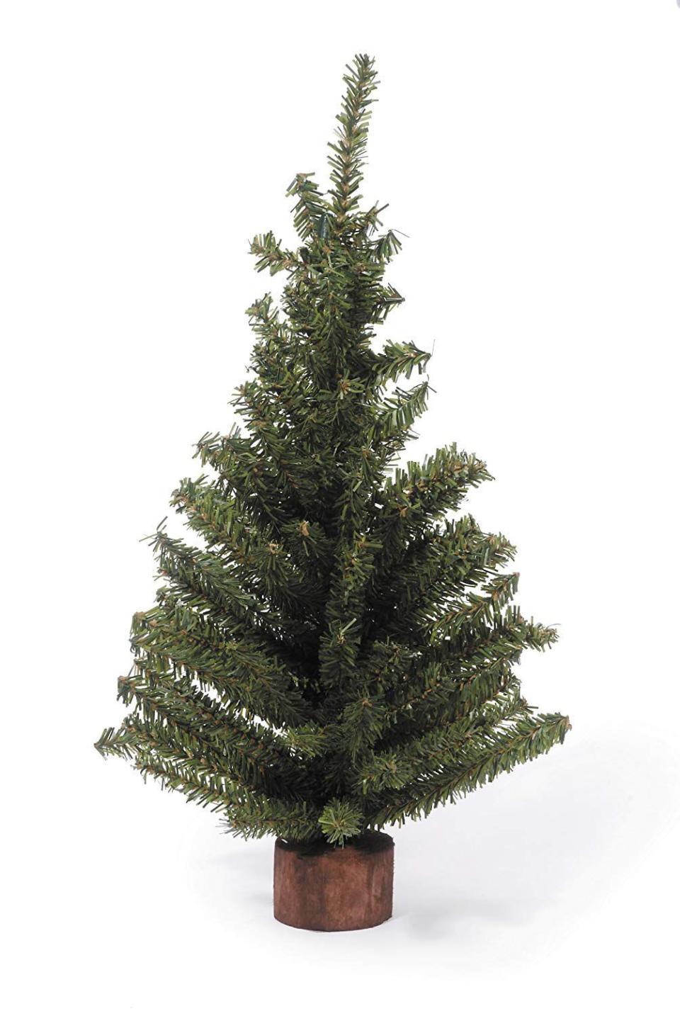 19) 18" Mini Canadian Pine Tree with Wood Base