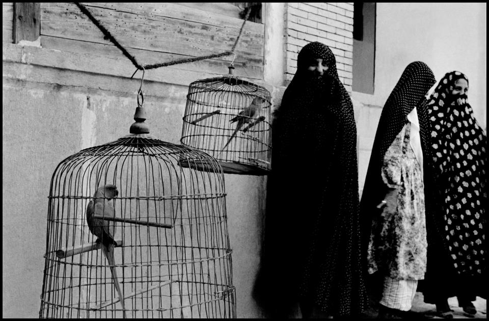 Shiraz, Iran, 1956