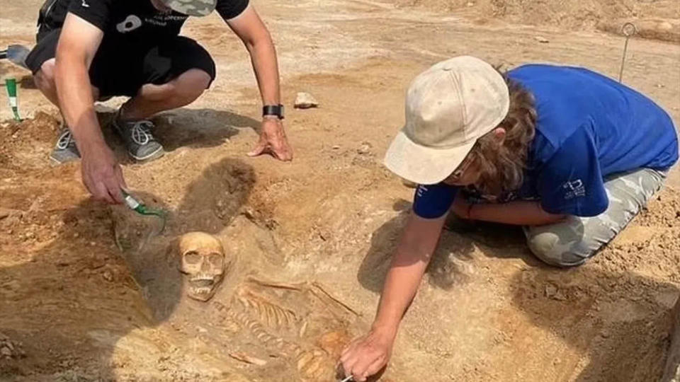Archaeologists excavate human gravesites to reveal skeletal remains.