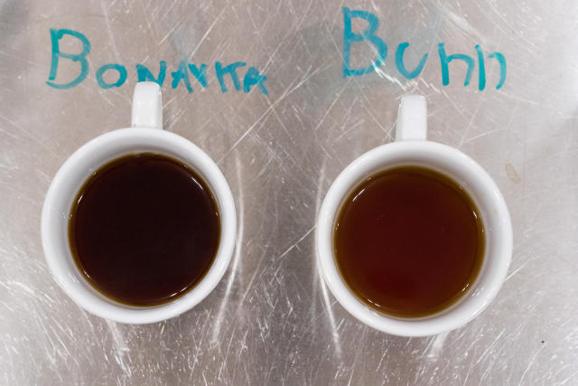 Kettle Duel: Bonavita vs. Hario – Mountain Seed Coffee