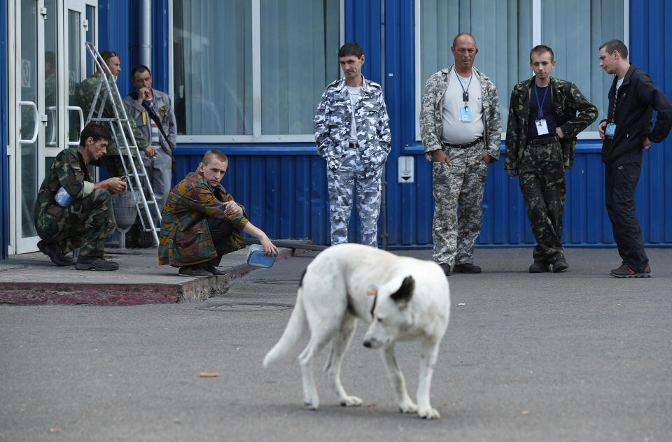 Workers on a break watch a stray dog saunter by outside an administrative building inside the exclusion zone at the Chernobyl nuclear power plant on August 18, 2017.