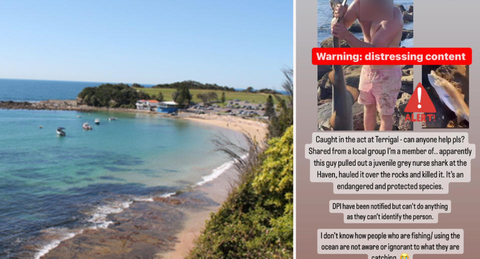 Left: Beach and rocks at Terrigal Haven. Right: Instagram screenshot showing man holding dead shark. 