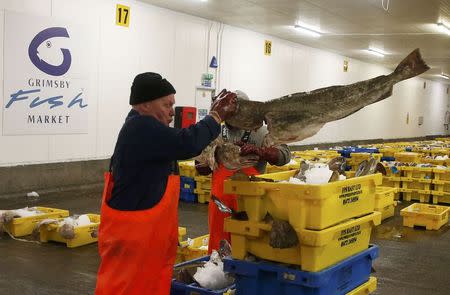 Workers move boxes of fish at the fish market in Grimsby, Britain November 17, 2015. Auctions take place every morning in the market, which handles 15,000 tonnes of fish per year, mostly imported from Iceland and Norway. REUTERS/Phil Noble