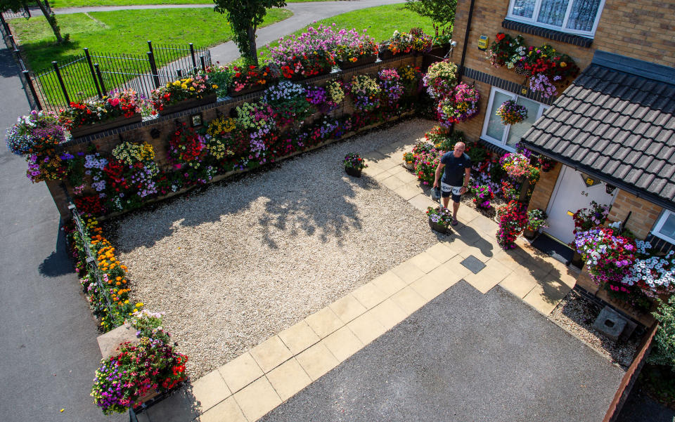 Meet the amateur gardener who fills more than 100 hanging baskets and pots in his small suburban garden with nearly 1,000 stunning plants every year. Shaun Schroeder, 57, spends up to three hours a day planting, tending, dead-heading and watering his stunning collection of petunias and other assorted flowers. He spends four months growing almost all of his 900 plants from seed, before potting them out in May, during a mammoth week-long planting session. They sprawl across 120 hanging baskets and tubs that cover every inch of his modest 4m wide garden at the back of his semi detached home in Whitchurch, on the outskirts of Bristol.