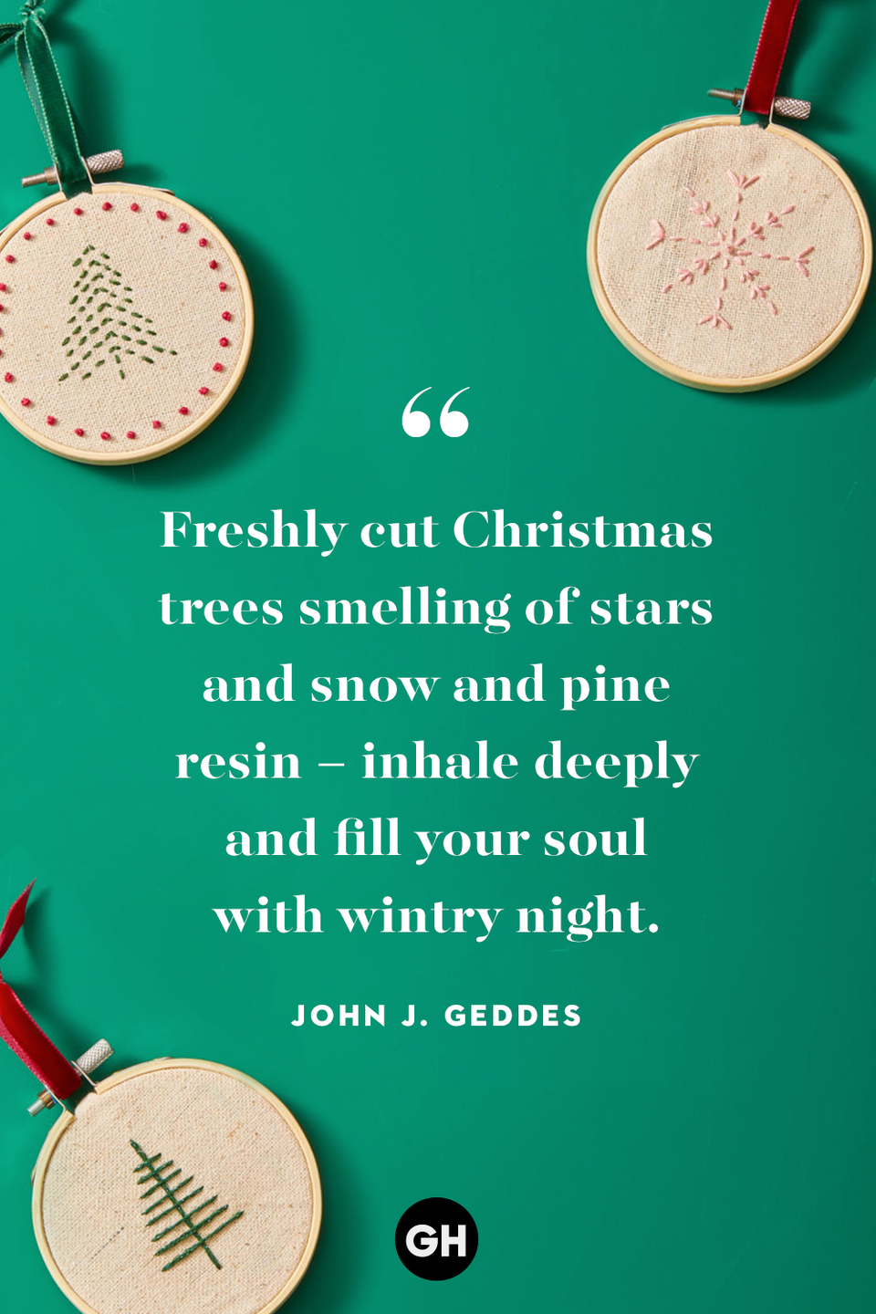 <p>Freshly cut Christmas trees smelling of stars and snow and pine resin – inhale deeply and fill your soul with wintry night.</p>