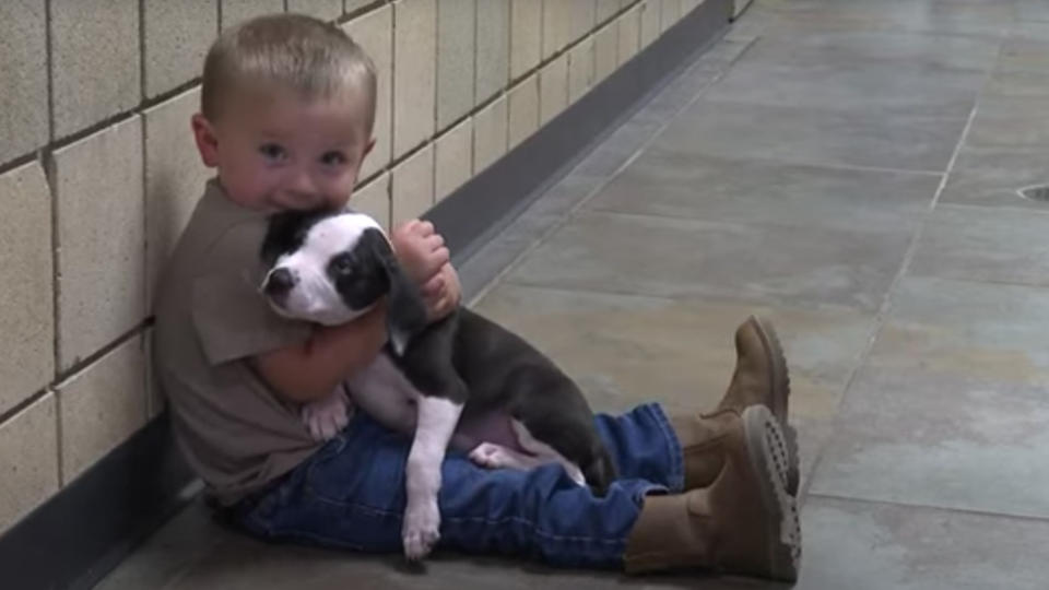 Little boy with cleft lip adopts a puppy with a cleft lip