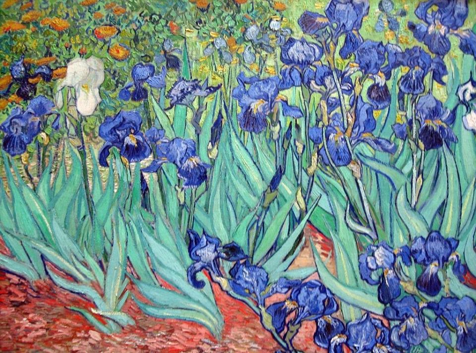 Van Gogh began working on Irises during his first week at the asylum in Saint-Rémy, France. There are no known sketches he did for the painting.In September 1889, Van Gogh's brother, Theo, submitted the piece to Salon des Indépendants and later wrote to his brother of the exhibition, '[It] strikes the eye from afar. It is a beautiful study full of air and life.'