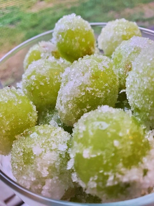 <p>Nettie Moore</p><p>A refreshing 21+ snack or these grapes can double for ice cubes in your summer cocktails.</p><p><strong>Get the recipe: <a href="/1057799/nettiemoore/watermelon-white-claw-grapes-recipe/" data-ylk="slk:Watermelon White Claw Grapes;elm:context_link;itc:0;sec:content-canvas" class="link ">Watermelon White Claw Grapes</a></strong></p>