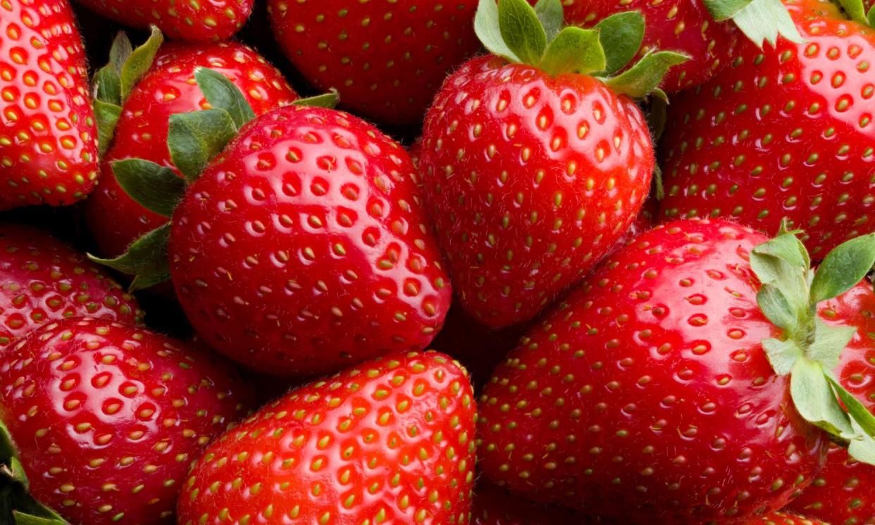 <span>Over the past year, shoppers spent a record £847m on strawberries, Kantar figures show.</span><span>Photograph: Jonathan Knowles/Getty Images</span>