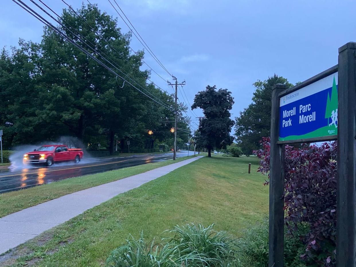 City staff had proposed creating about 50 new parking spaces along a section of Fredericton's Waterloo Row, which runs next to Morrell Park. (Aidan Cox/CBC - image credit)