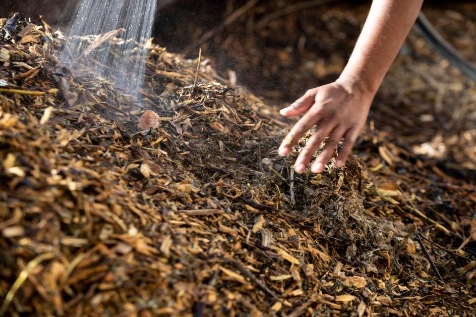 UF/IFAS provides useful tips to creating a simple and effective compost for growing a healthy garden.