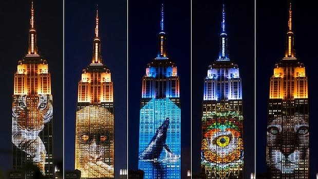 racing extinction