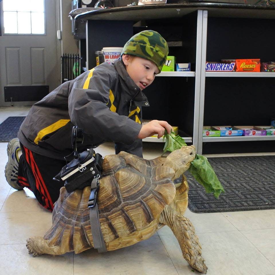 Franky, the tortoise at Lou’s Pet Shop in Grosse Pointe Woods who recently died, brought joy to customers, children and fans who watched his live-cam worldwide.