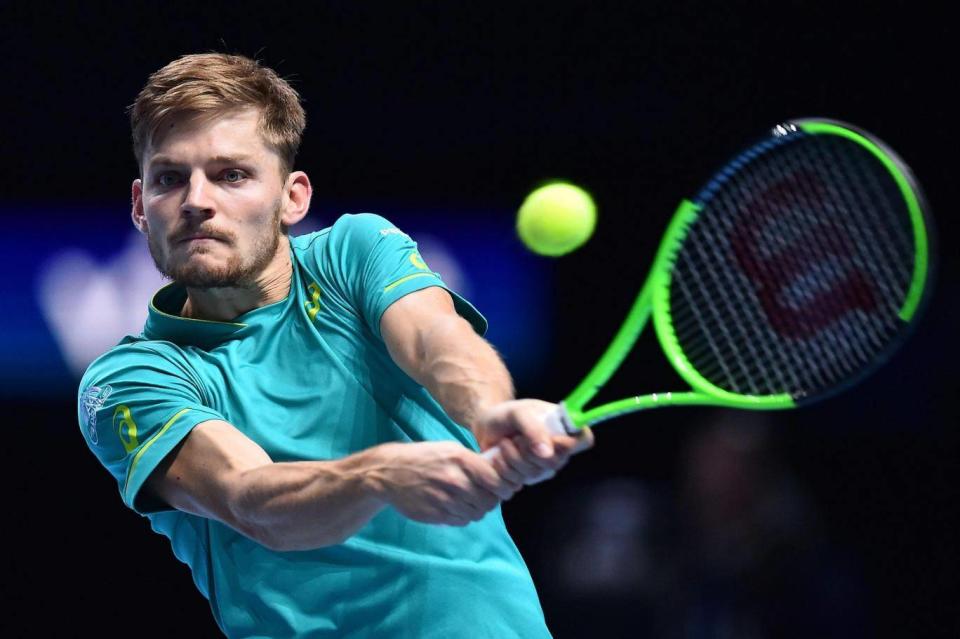 Goffin claimed the first in Sunday's final (Getty)